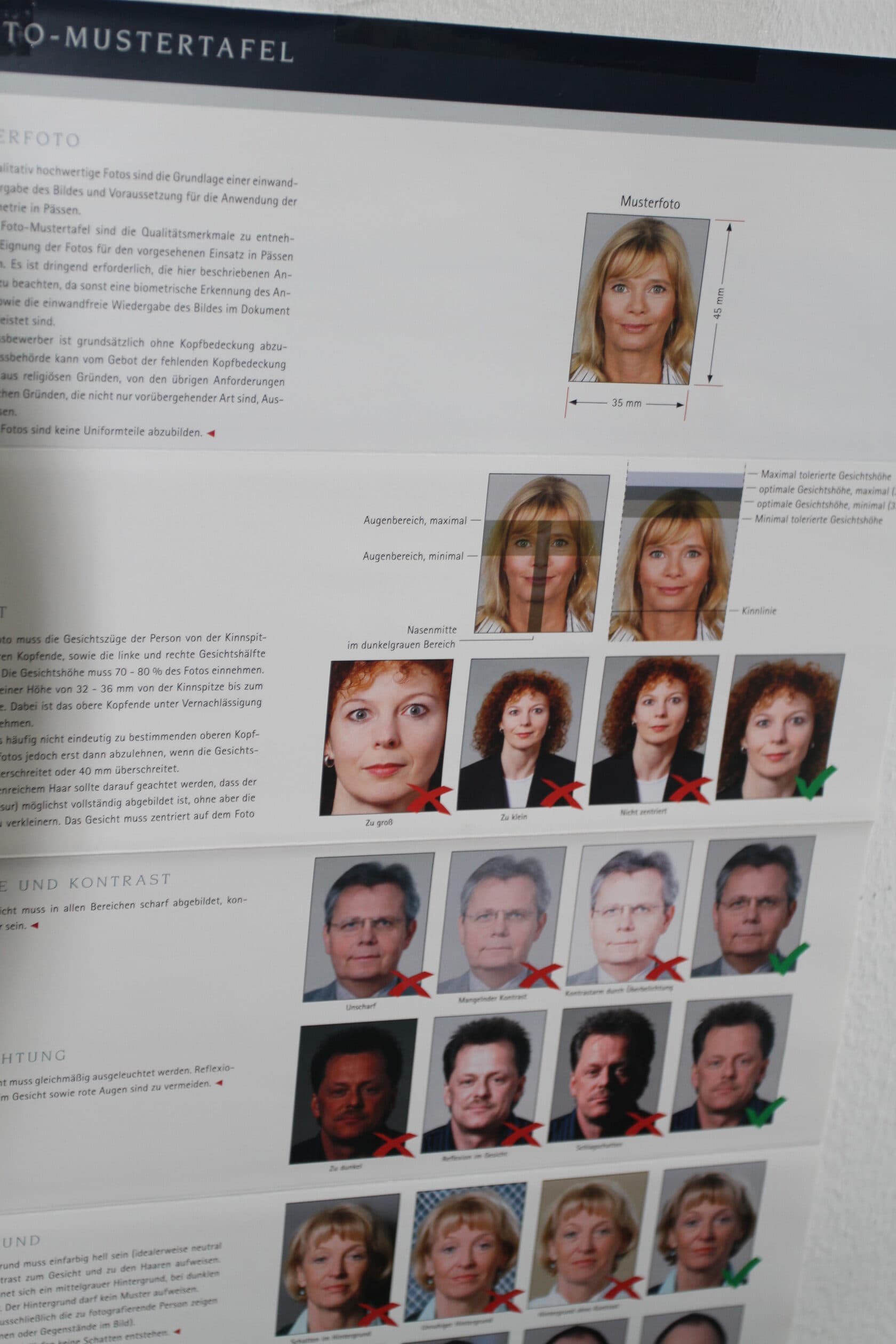 IV семинар «Государственные и муниципальные услуги Германии « — фотография 5
